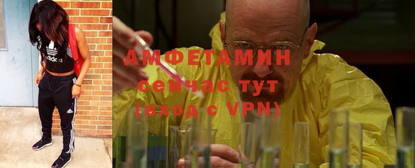 сатива Верхний Тагил