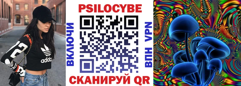Псилоцибиновые грибы Psilocybe  сайты даркнета как зайти  Камышин 