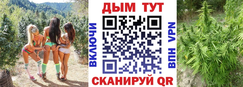 Канабис MAZAR  hydra как зайти  Камышин 